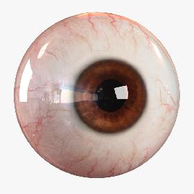 Realistic Human Eye - Pro